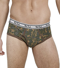 Ninjaflauge Brief